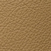 LONGLIFE SOFT DUNE - LEATHER 31